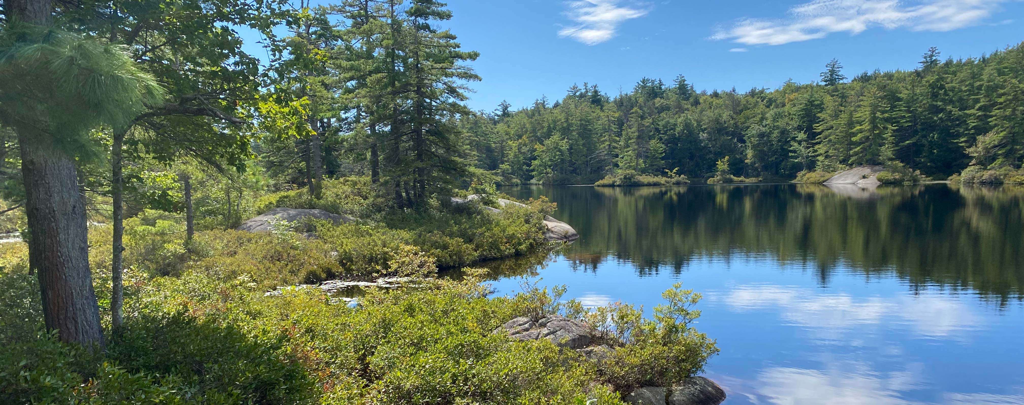 Pisgah Lake 1