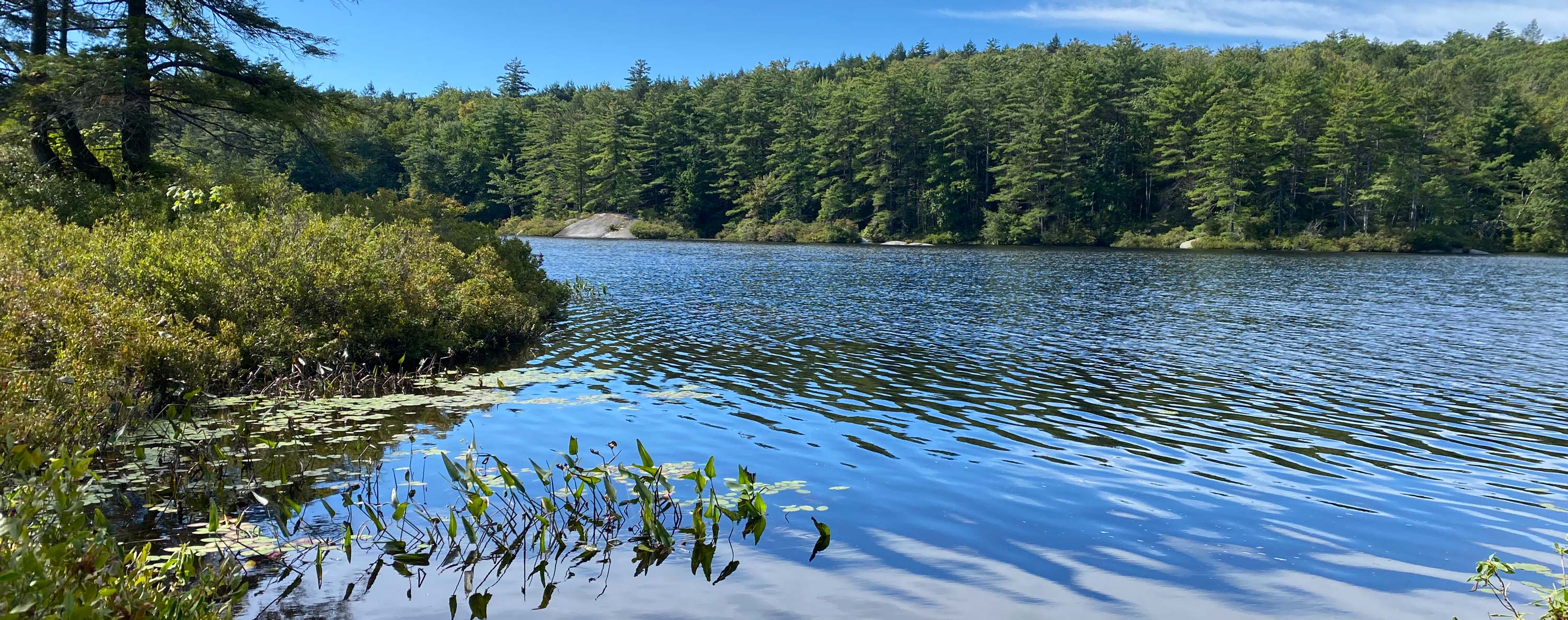 Pisgah Lake 2